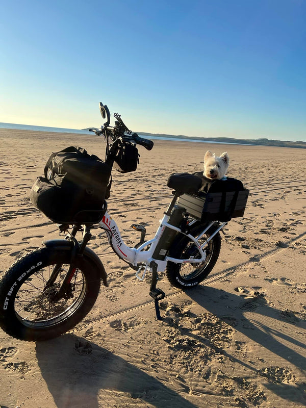 Galería de imágenes 9