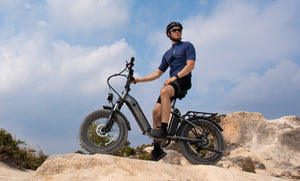 imagen de la equitación FF20 Polar