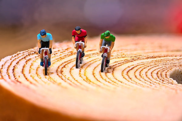 Repare su bicicleta usted mismo: Soluciona 16 problemas comunes y pedalea sin problemas