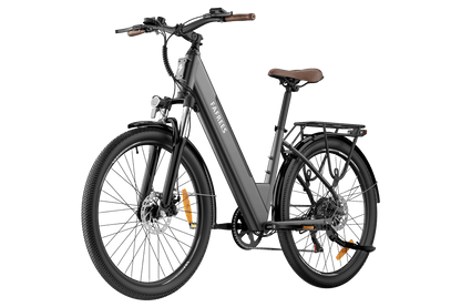 color_Gris metálico