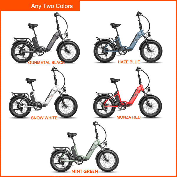 Ebike Bundle - Fafrees FF20 Polar  con Baterías Duales (2 Pack) - fafreesebike